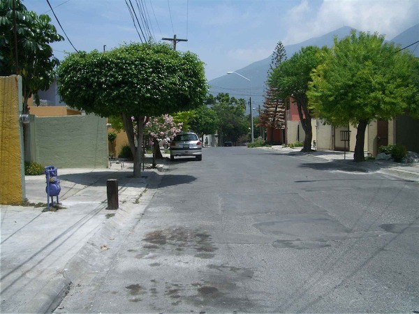 CIMG9615.jpg